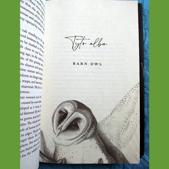 Book - The Wise Hours: A Journey into the Wild and Secret World of Owls - Picture 7 of 15